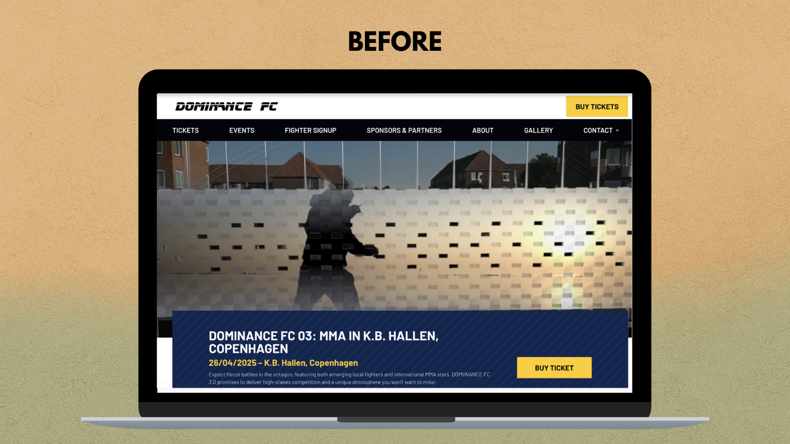 Website before redesign